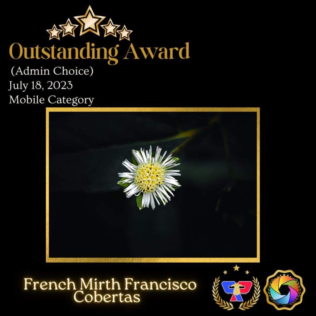 french mirth award 1