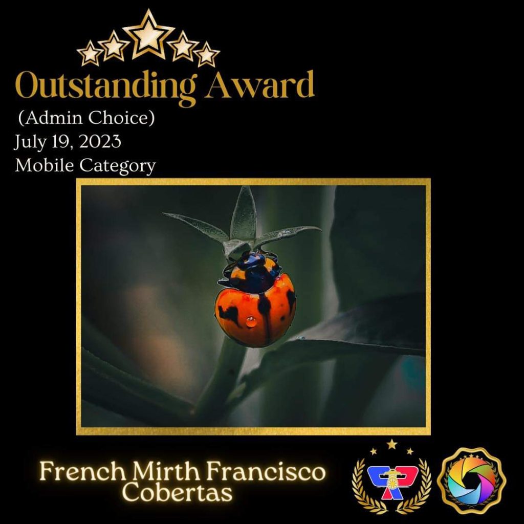 french mirth award 2