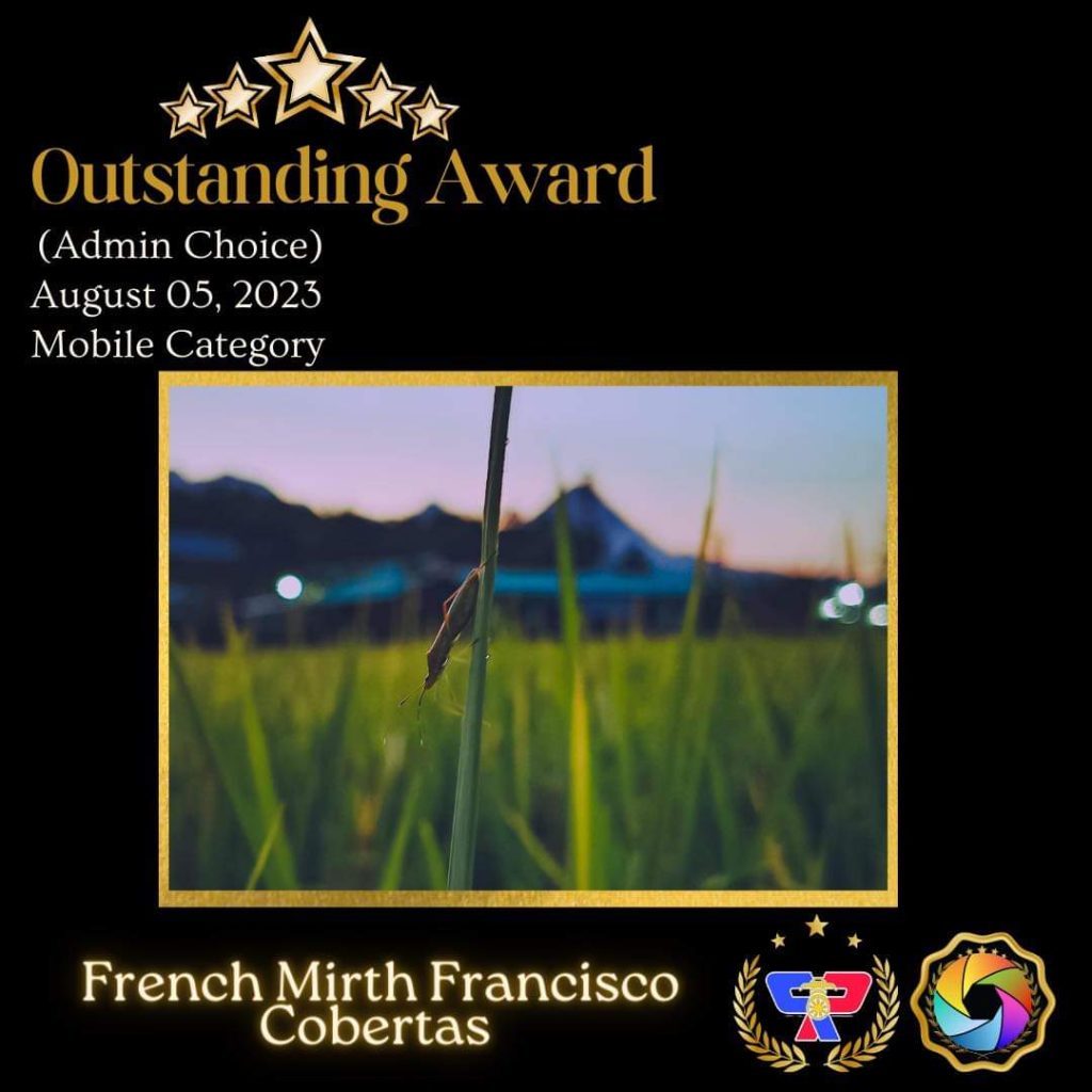 french mirth award 3